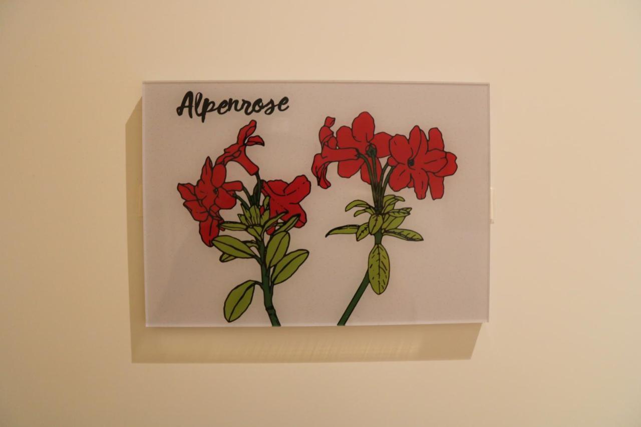 Ferienwohnungen Im Gasthof Stern Inklusive Koenigscard ウンターアンマーガウ エクステリア 写真