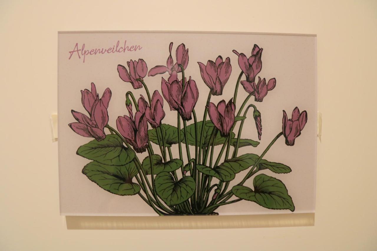 Ferienwohnungen Im Gasthof Stern Inklusive Koenigscard ウンターアンマーガウ エクステリア 写真