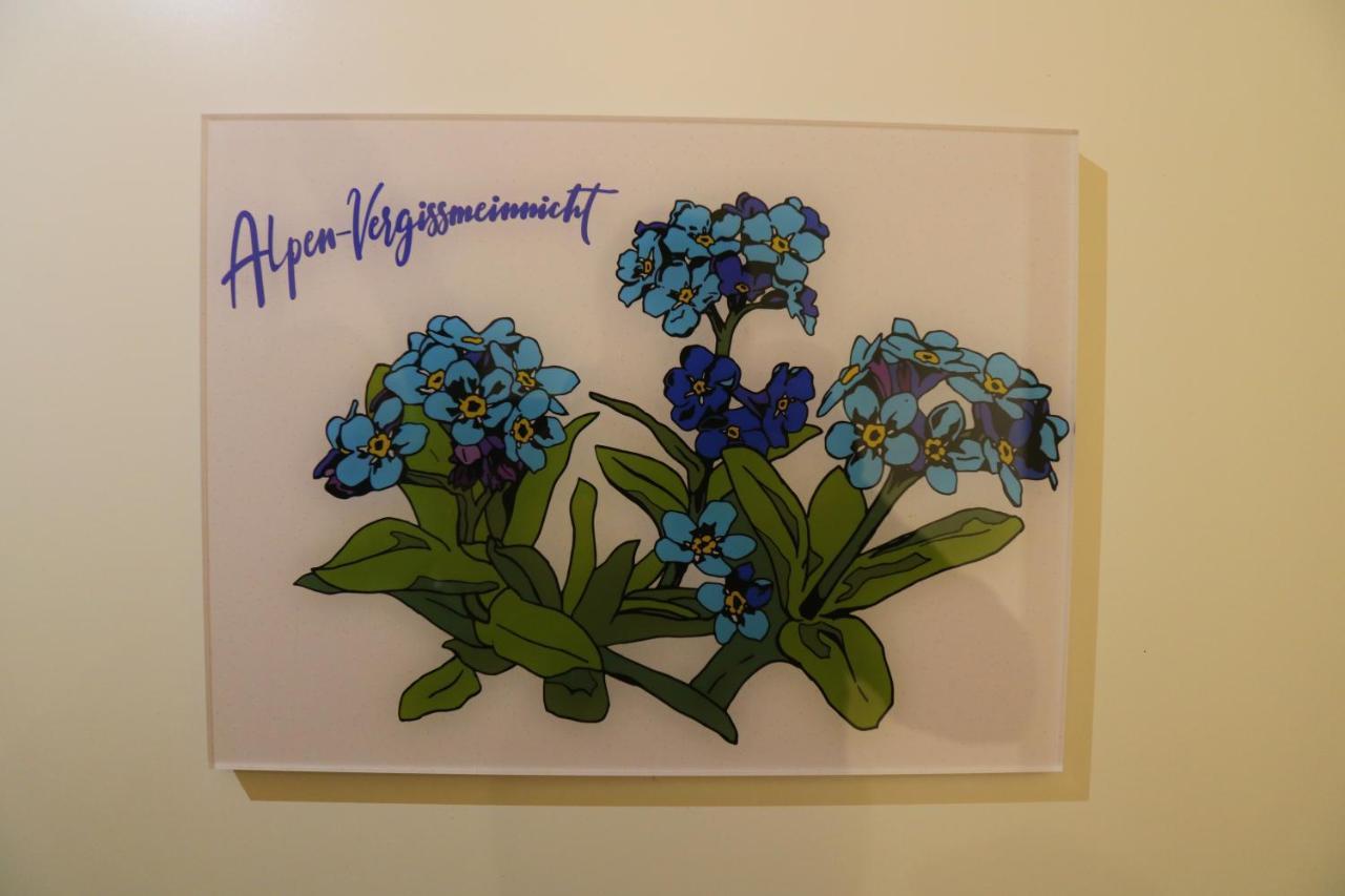 Ferienwohnungen Im Gasthof Stern Inklusive Koenigscard ウンターアンマーガウ エクステリア 写真